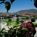 Mirsini