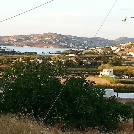 Mirsini *