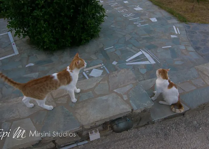 Mirsini Appartamento Parasporos