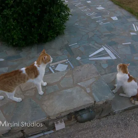 Mirsini Апартаменты Параспорос