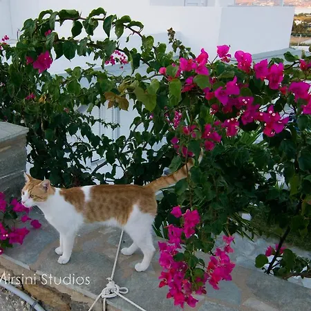 Mirsini Апартаменты *