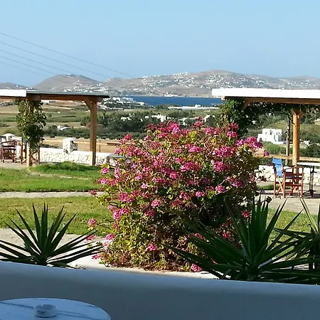 Mirsini Апартаменты *